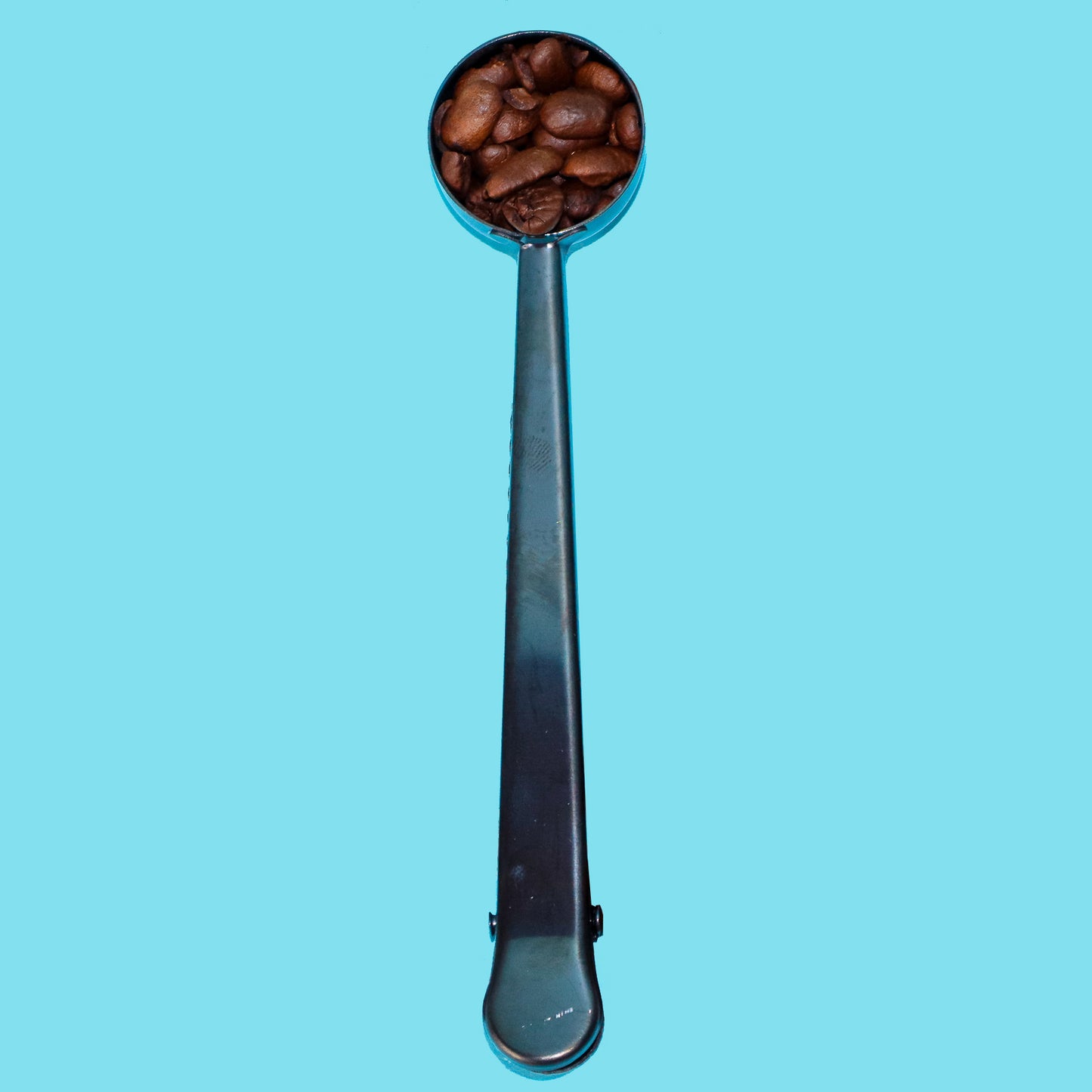 Steel 2-in-1 Coffee Scoop and Bag Clip