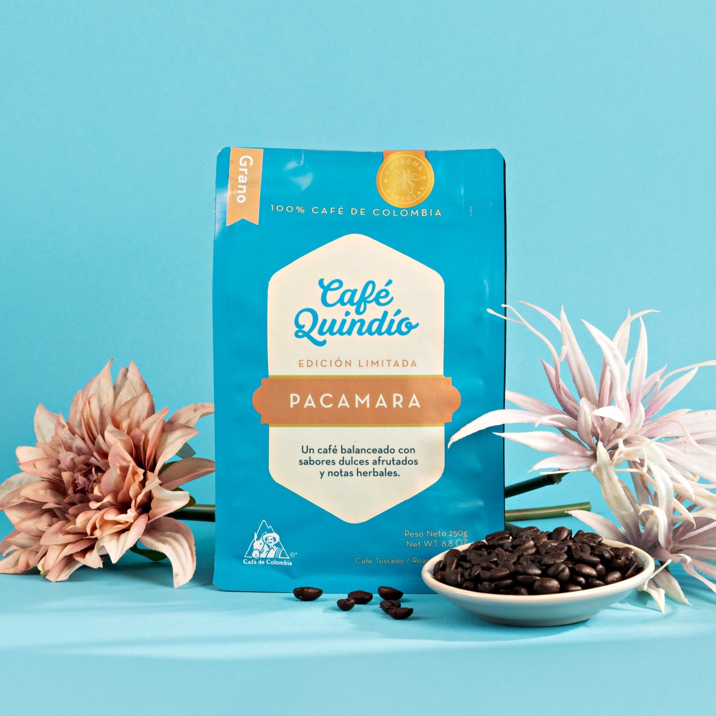 Cafe Quindio - Pacamara, Whole Bean 250 grams